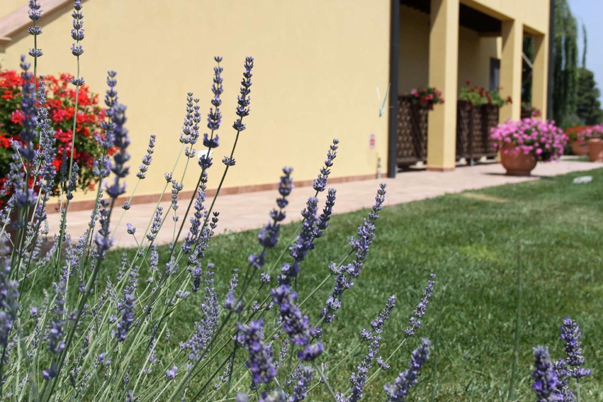 Podere Tre Cipressi Lejlighedshotel Campiglia Marittima Eksteriør billede