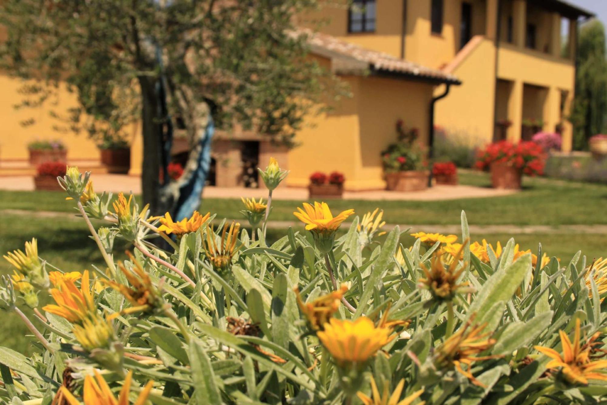 Podere Tre Cipressi Lejlighedshotel Campiglia Marittima Eksteriør billede